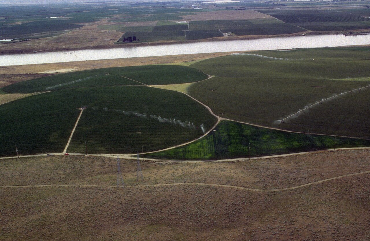 Campos de regadío circular por pívot junto a un río, vistos desde el aire